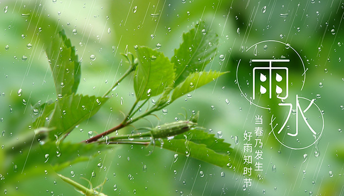 雨水，是时间的样子