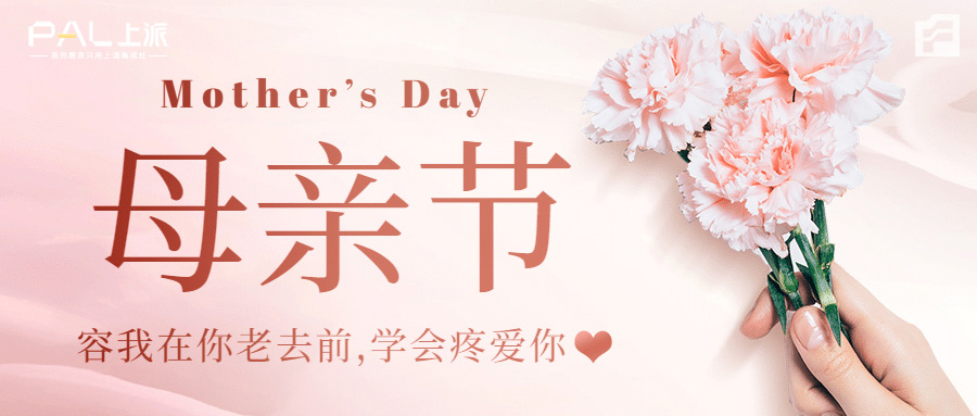 望岁月温柔以待，爱绵绵无期 / 上派电器祝福所有母亲，节日快乐！