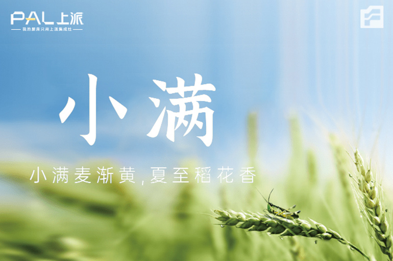 小满遇见520 /三餐可依 幸福可期 