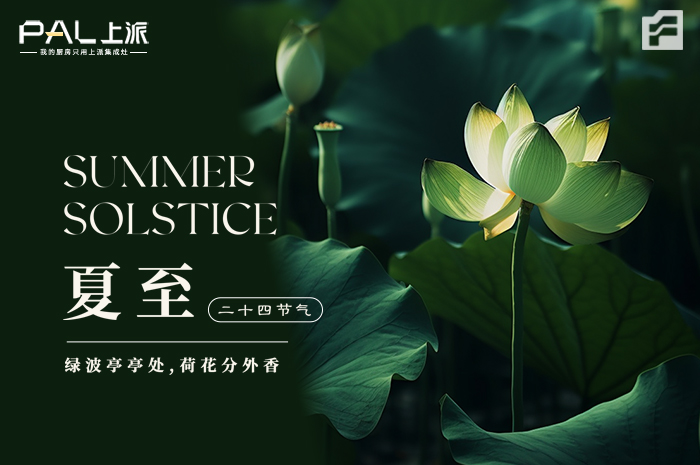 夏至已至，所有美好亦如约而至！