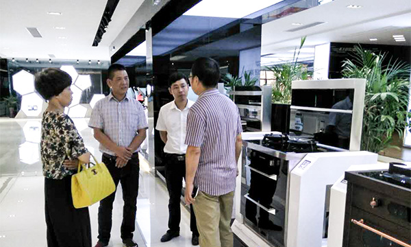 树行业典范，促企业发展——热烈欢迎浙江省企业局专家组莅临上派