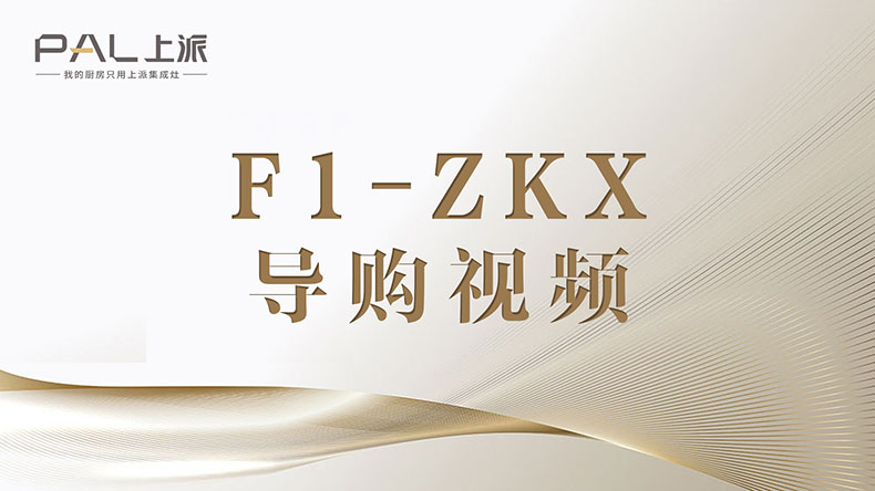 F1-ZKX-导购视频11