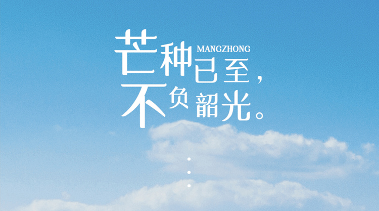 今日芒种