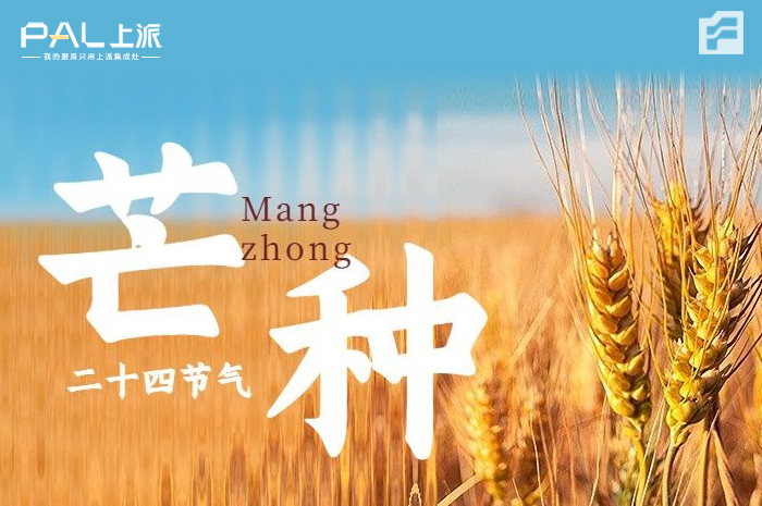 芒种时节，播种希望 / 理想起航，上派相伴！